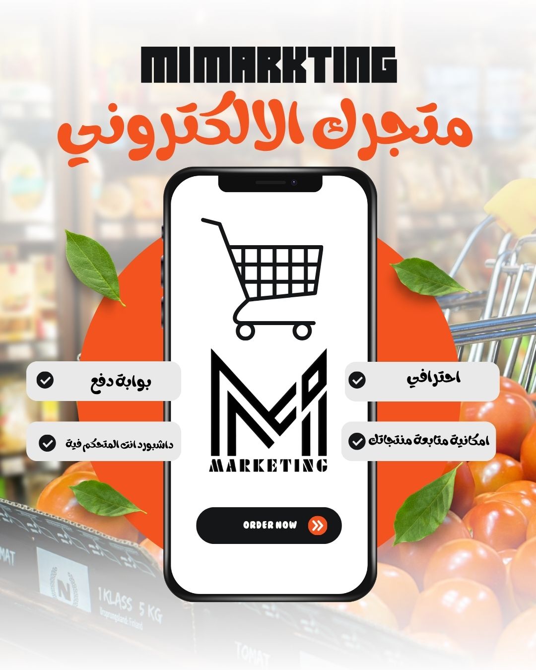 E-commerce Development